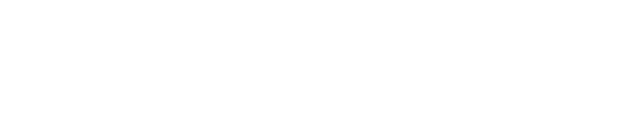 Ziver Holding